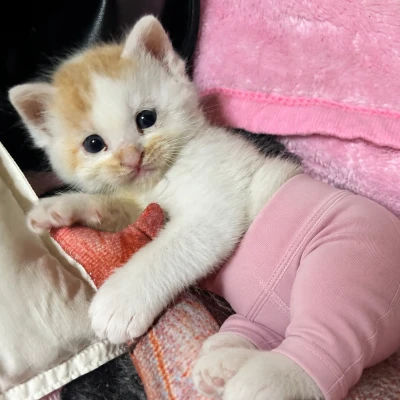 おはようございます。ゆまです🧸🥀