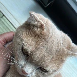 今日もお疲れ様です︎💕︎の写真1枚目