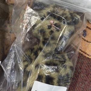 あずきです🫘の写真2枚目