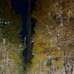 21時半からいます✨の写真1枚目