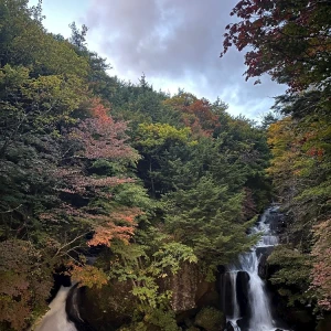 紅葉きれいかな？🍁の写真1枚目