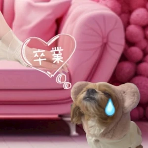 1203🎉の写真2枚目