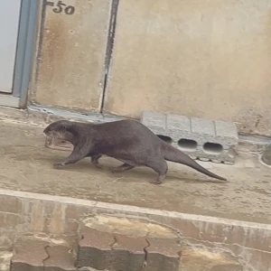 おはようございます。ゆまです🧸🥀の写真1枚目