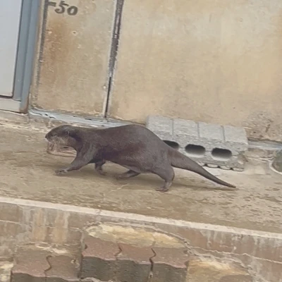 おはようございます。ゆまです🧸🥀