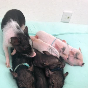 本日出勤してます🥺🤍の写真1枚目