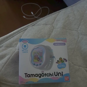 こんばんは🐼の写真1枚目