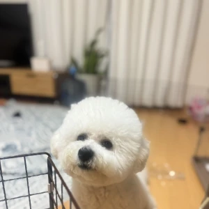 出勤してます！！の写真1枚目