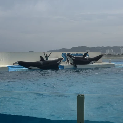 本日20時出勤🍼