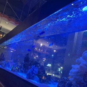 念願のパイカジ🫶🏻の写真2枚目