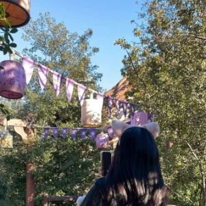🐈‍⬛🎀🐭🏰の写真1枚目