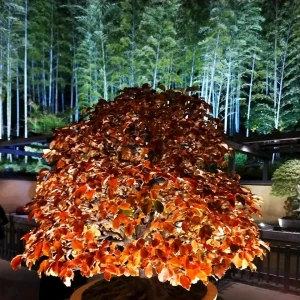 💗💗の写真1枚目