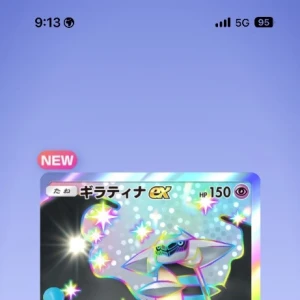 鳩顔🥺の写真1枚目