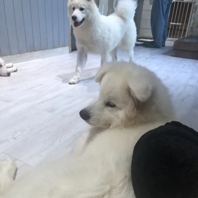 本日も出勤してます！
