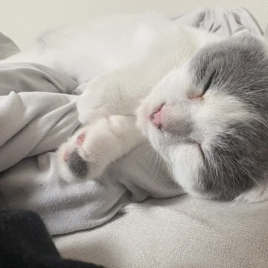 おはようございます☀️の写真1枚目