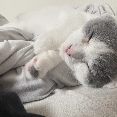 おはようございます☀️