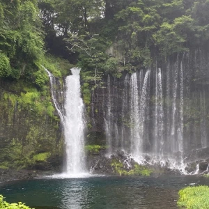 こんばんは🦁の写真1枚目