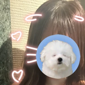 こんにちはー‼️うなちゃんです！！！🐰🌷の写真1枚目