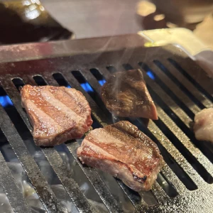 肉食女子🍖‪🫶の写真1枚目