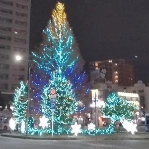 12/07 出勤しました！の写真1枚目