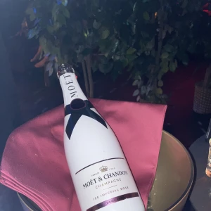 出勤しました！の写真1枚目