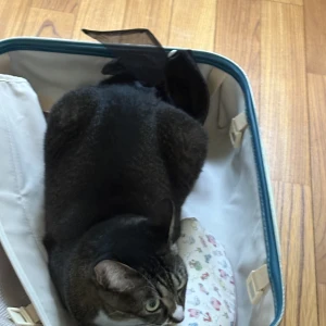 9/3の写真1枚目