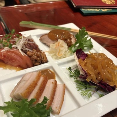 ましろ出勤です〜🦖🐾