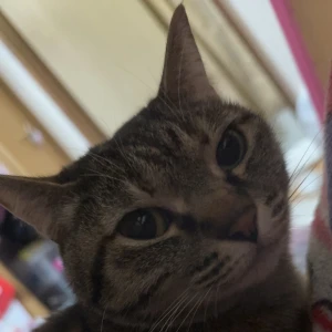 います！の写真1枚目