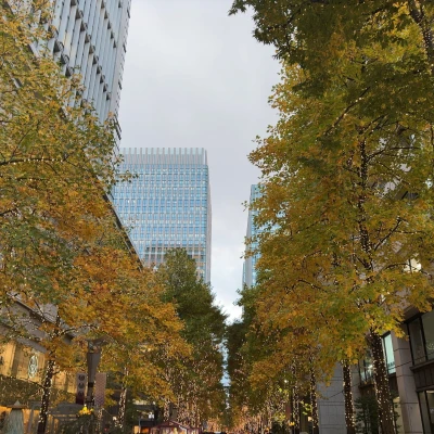 しゅっきーん！