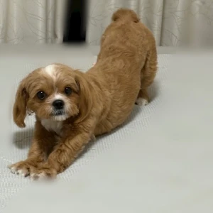 1017💓の写真1枚目
