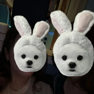 こんばんは🌙の写真1枚目