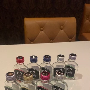 20:30くらいからいるはず🐡の写真1枚目