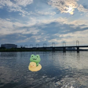 出勤しました🐸の写真1枚目