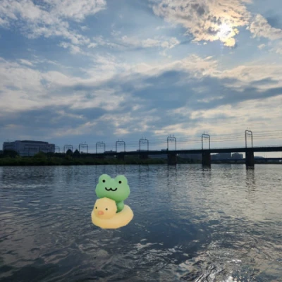 出勤しました🐸