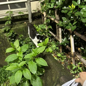 お久しぶりです！の写真1枚目