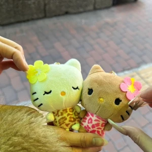 ᐕ)ﾉ 1.23の写真1枚目