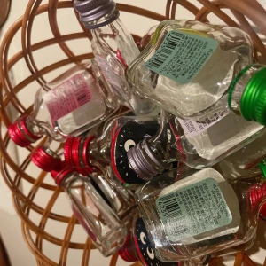 1/19の写真1枚目