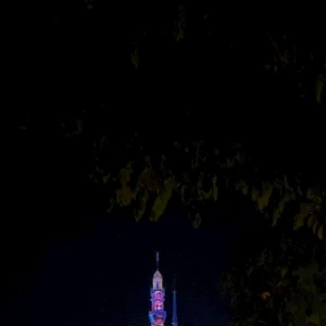 香港ディズニー🇭🇰の写真2枚目