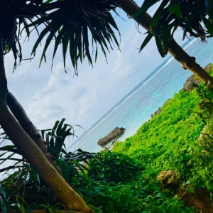 宮古島🌺の写真3枚目