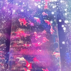 🍼😈ྀི😈ྀི😈ྀི🎀の写真2枚目