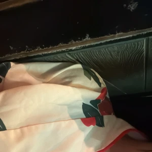 かなちゃん本日スタートからいます💕𐔌՞ ܸ. .ܸ՞𐦯の写真1枚目