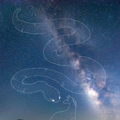 2025年大変お世話になりました🙇‍♀️