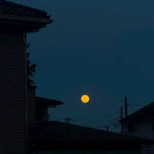 🌕の写真1枚目