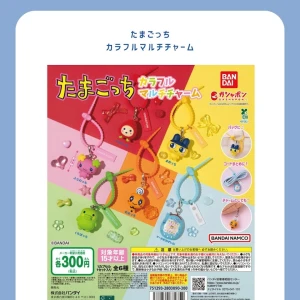 ᐕ)ﾉ 8.5 ①の写真1枚目