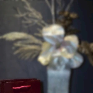 マジで人生楽しすぎる‼️の写真1枚目