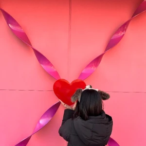 ユニバいきたあーい！！！の写真1枚目