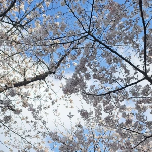 今日いまーす✨の写真1枚目