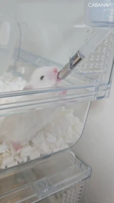 水分補給🚰💧ʢ‘•·̫•ʡの写真