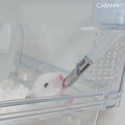 水分補給🚰💧ʢ‘•·̫•ʡ