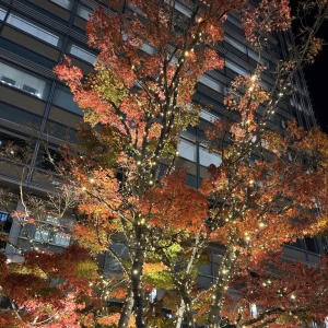 こんばんは✨の写真2枚目