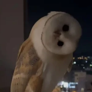 しゅっきんしてたの写真1枚目